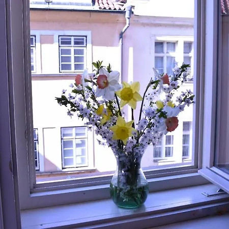 Bright And Cozy - 3 Min To Old Town Square דירה *